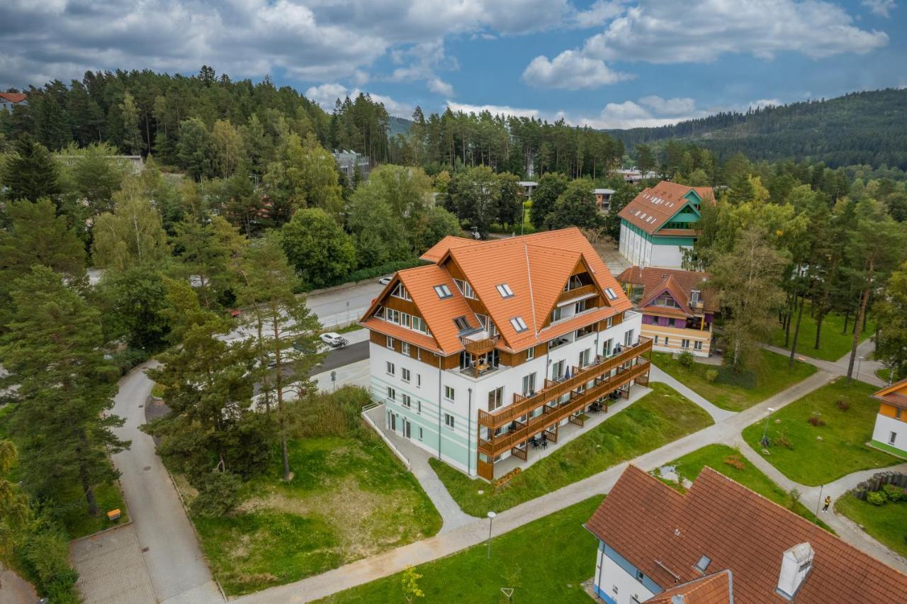Luxury Apartman Lipno Ліпно-над-Влтавою Екстер'єр фото
